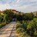 A verdant walkway leading to a stone farmhouse